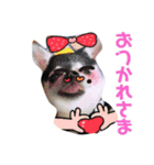ちくわのスタンプ二（個別スタンプ：10）