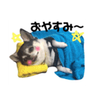 ちくわのスタンプ二（個別スタンプ：14）