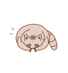 ゆるいたぬさん（個別スタンプ：8）