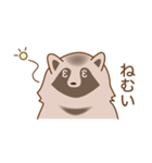 ゆるいたぬさん（個別スタンプ：12）