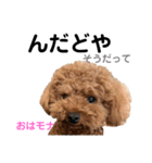 おはモナ 秋田弁version（個別スタンプ：3）
