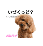 おはモナ 秋田弁version（個別スタンプ：9）
