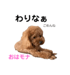 おはモナ 秋田弁version（個別スタンプ：14）