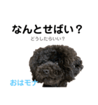 おはモナ 秋田弁version（個別スタンプ：17）