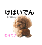 おはモナ 秋田弁version（個別スタンプ：19）