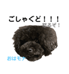 おはモナ 秋田弁version（個別スタンプ：20）