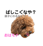 おはモナ 秋田弁version（個別スタンプ：22）