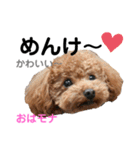 おはモナ 秋田弁version（個別スタンプ：23）