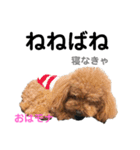 おはモナ 秋田弁version（個別スタンプ：24）