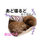 おはモナ 秋田弁version（個別スタンプ：25）