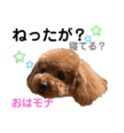 おはモナ 秋田弁version（個別スタンプ：27）