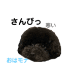 おはモナ 秋田弁version（個別スタンプ：28）