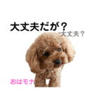 おはモナ 秋田弁version（個別スタンプ：31）