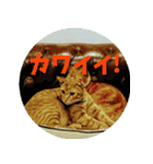 お洒落なヨーロッパスタンプ＜日本語版＞（個別スタンプ：17）