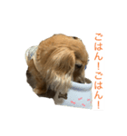 ユカイな犬二匹（個別スタンプ：8）