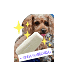 かわいいからあげスタンプ（個別スタンプ：5）
