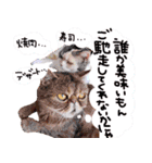 いちごいちえ3（個別スタンプ：13）