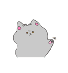あむちゃん 灰色こねこ登場編（個別スタンプ：3）