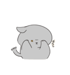 あむちゃん 灰色こねこ登場編（個別スタンプ：14）