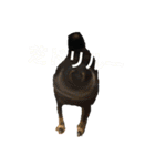 ある芝犬の日常（個別スタンプ：21）