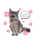 Eve様の生活（個別スタンプ：1）