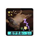 チワックス もずくちゃんのスタンプ（個別スタンプ：6）