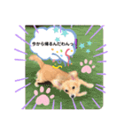 チワックス もずくちゃんのスタンプ（個別スタンプ：9）