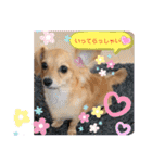 チワックス もずくちゃんのスタンプ（個別スタンプ：10）