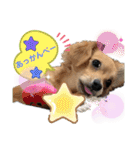 チワックス もずくちゃんのスタンプ（個別スタンプ：13）