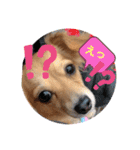 チワックス もずくちゃんのスタンプ（個別スタンプ：16）