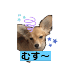 チワックス もずくちゃんのスタンプ（個別スタンプ：17）