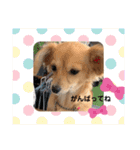 チワックス もずくちゃんのスタンプ（個別スタンプ：28）