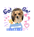 チワックス もずくちゃんのスタンプ（個別スタンプ：30）
