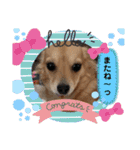 チワックス もずくちゃんのスタンプ（個別スタンプ：31）