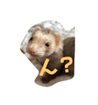 きよぴーの小さなお友達。（個別スタンプ：1）