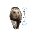 きよぴーの小さなお友達。（個別スタンプ：6）