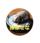 きよぴーの小さなお友達。（個別スタンプ：8）