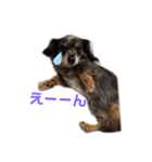 きよぴーの小さなお友達。（個別スタンプ：16）