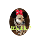 きよぴーの小さなお友達。（個別スタンプ：18）