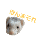 きよぴーの小さなお友達。（個別スタンプ：21）