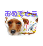 きよぴーの小さなお友達。（個別スタンプ：24）