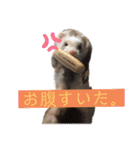 きよぴーの小さなお友達。（個別スタンプ：25）