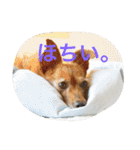 きよぴーの小さなお友達。（個別スタンプ：32）