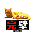 猫達⑧（個別スタンプ：2）