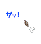 ドリーとベスの毎日 便利編（個別スタンプ：5）