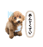 我が家のちくわスタンプ。（個別スタンプ：4）