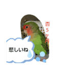 kawafamily20（個別スタンプ：1）