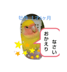 kawafamily20（個別スタンプ：2）
