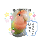 kawafamily20（個別スタンプ：3）