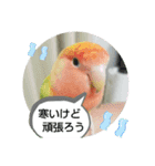 kawafamily20（個別スタンプ：4）